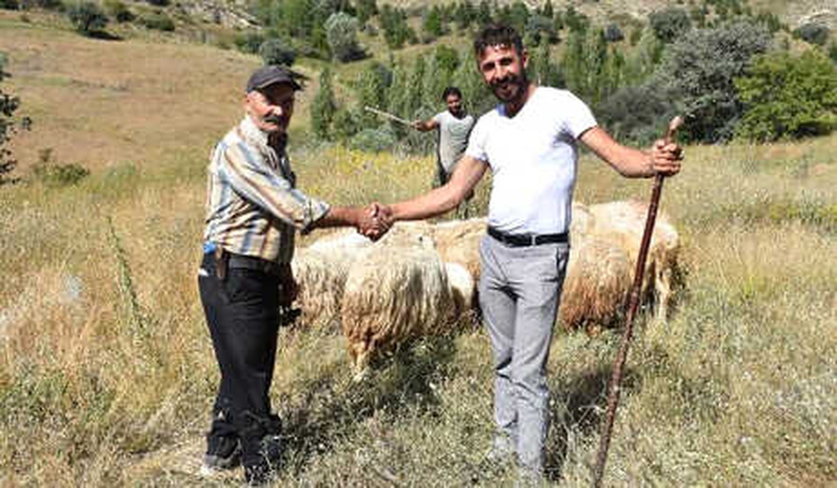 Dürbünle Bakarken Bulduğu Kayıp Koyunları, Sahibine Teslim Etti