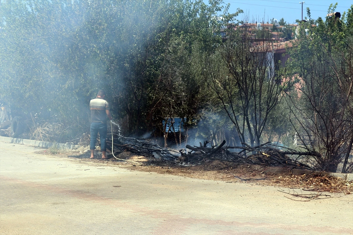 Hatay\'da Anız Yangını Zeytinlik Alana Sıçradı