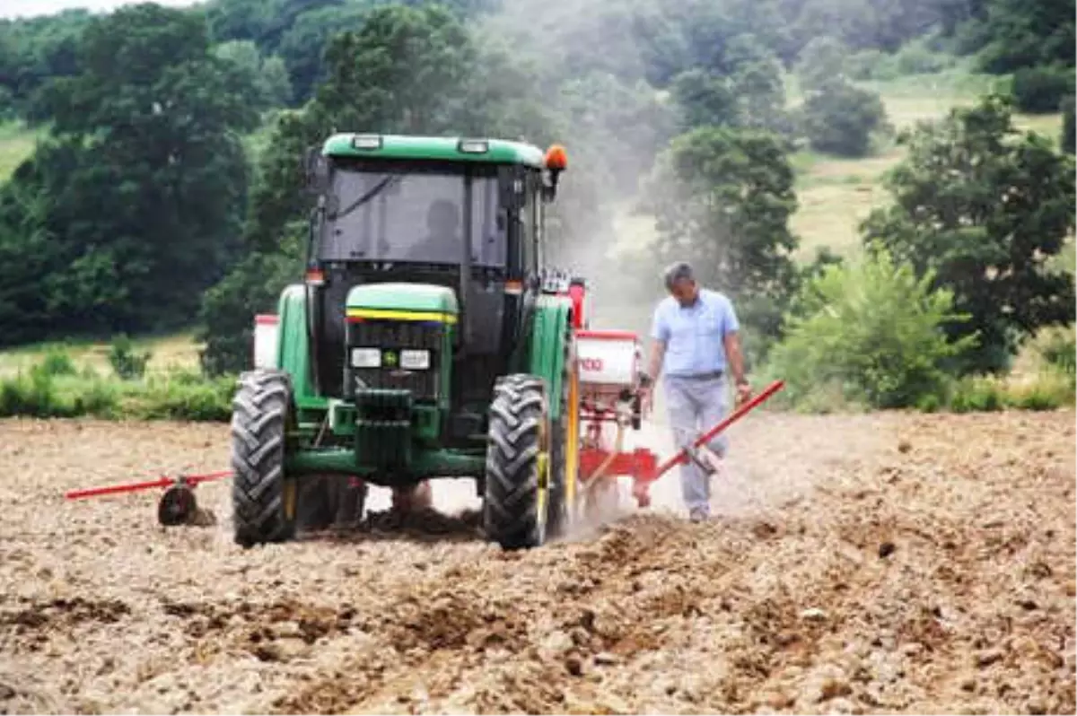 İstanbul\'da "Milli Tarım Yerli Tohum Deneme Ekimleri" Projesi Başladı