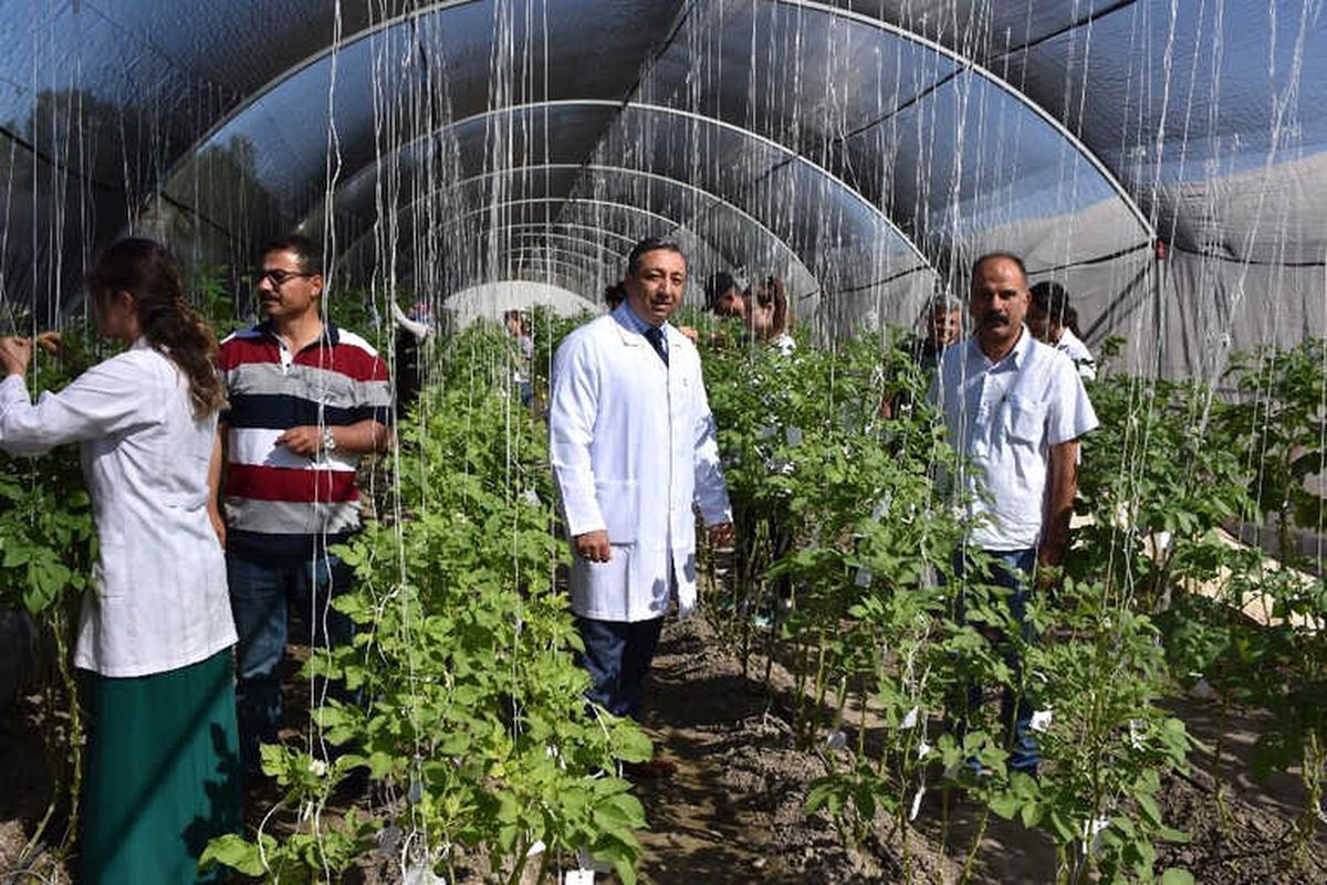 Niğde Patates Araştırma Enstitüsü Arı Gibi Çalışıyor