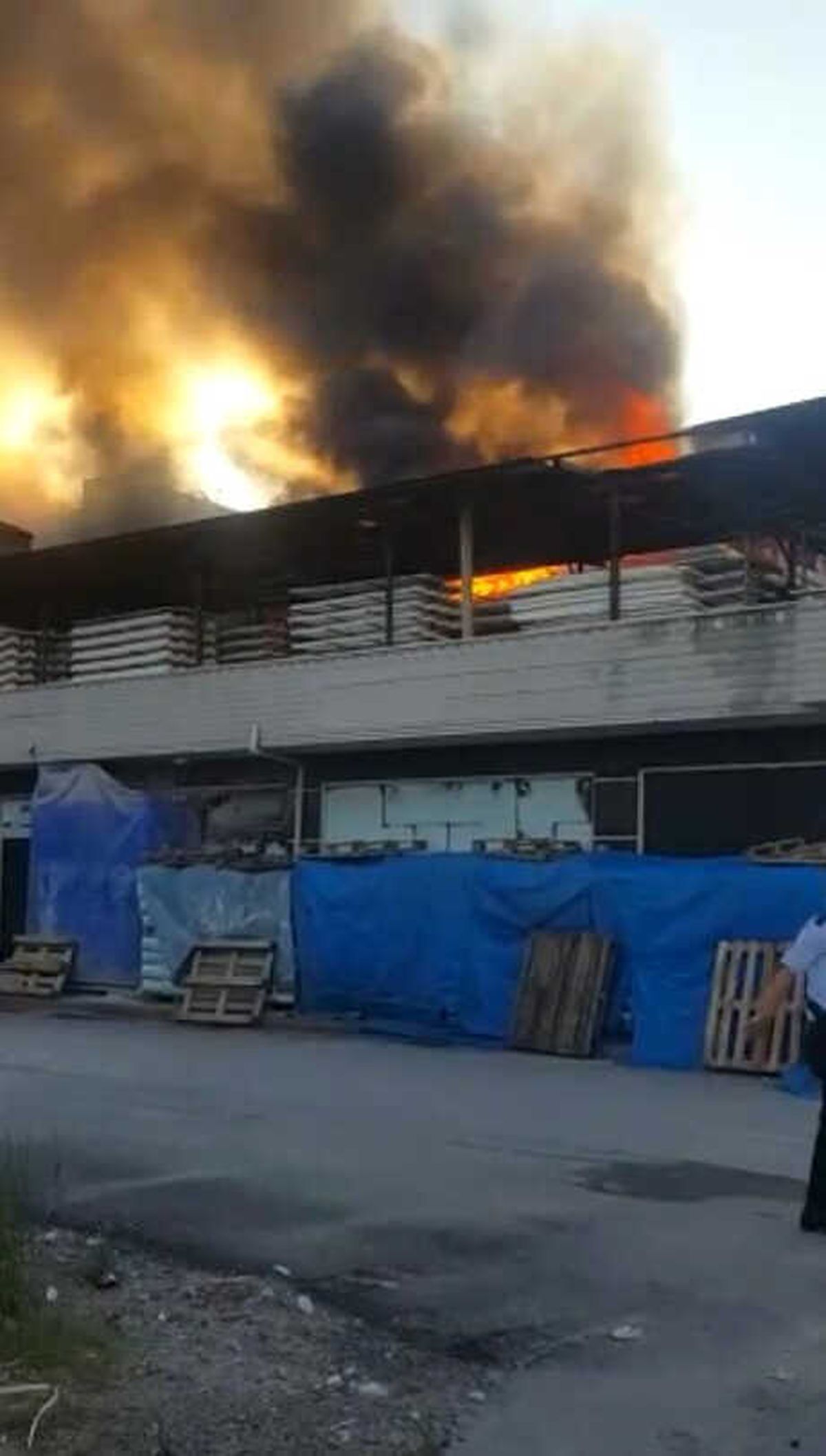 Sakarya\'da Fabrikanın Çatısı ve Deposu Yandı