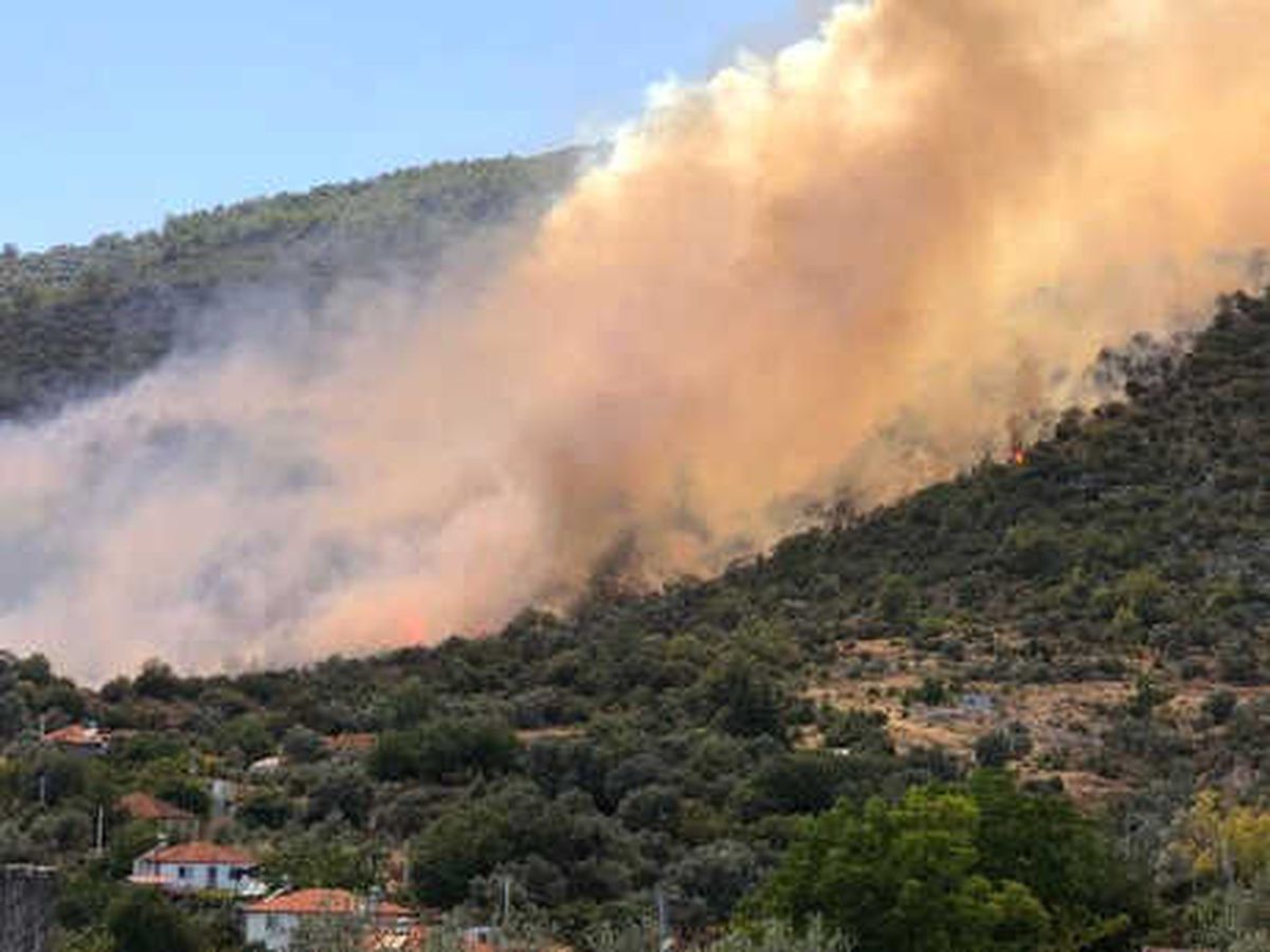 Seydikemer\'de Anız Yangını Ormana Sıçradı