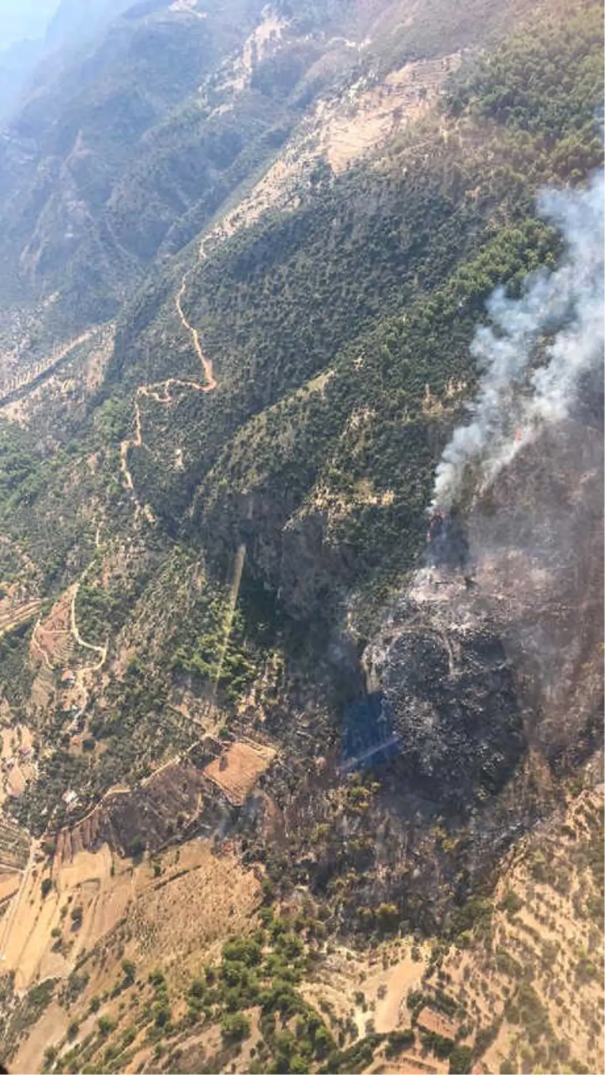 Seydikemer\'de Anız Yangını Ormana Sıçradı (3)