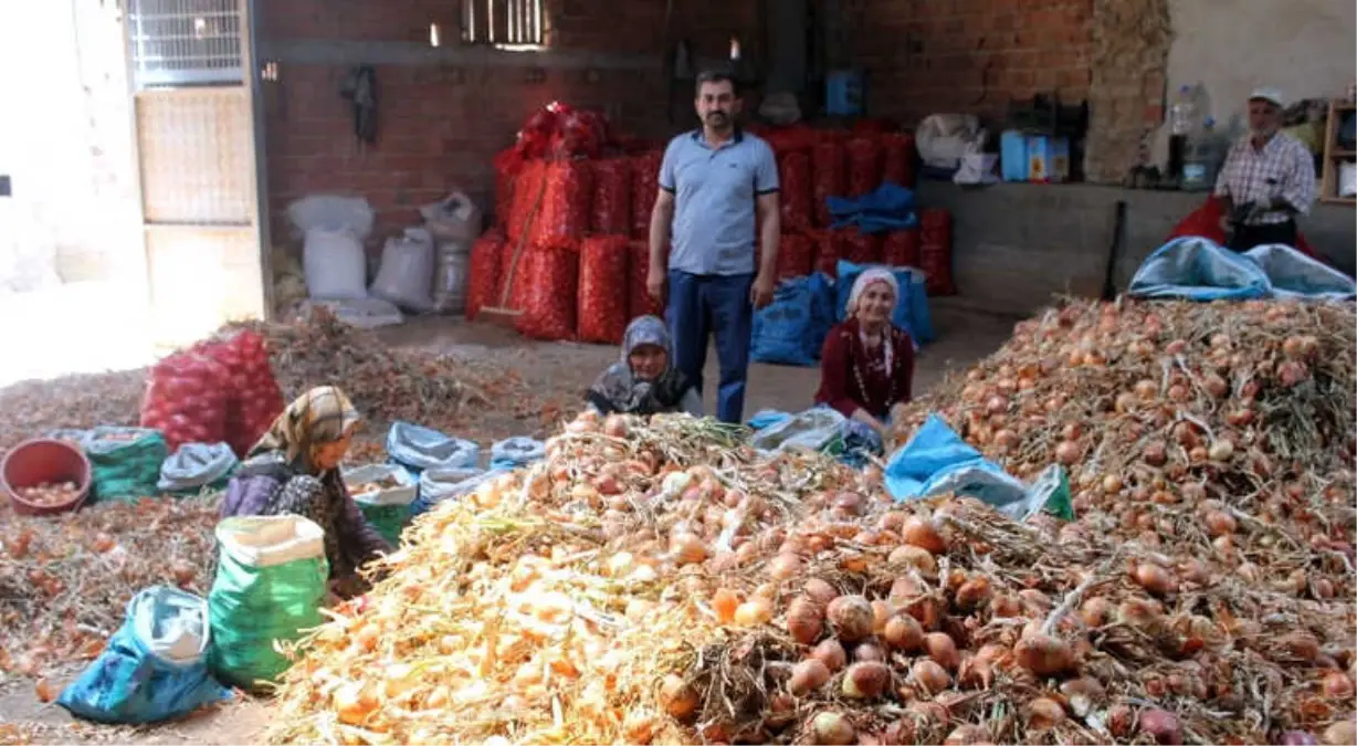 Soğanda Parayı Aracılar Kazanıyor