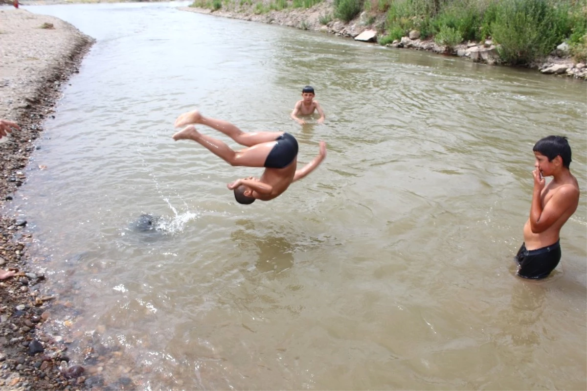 Tehlikeye Aldırış Etmeden Nehirde Yüzüyorlar