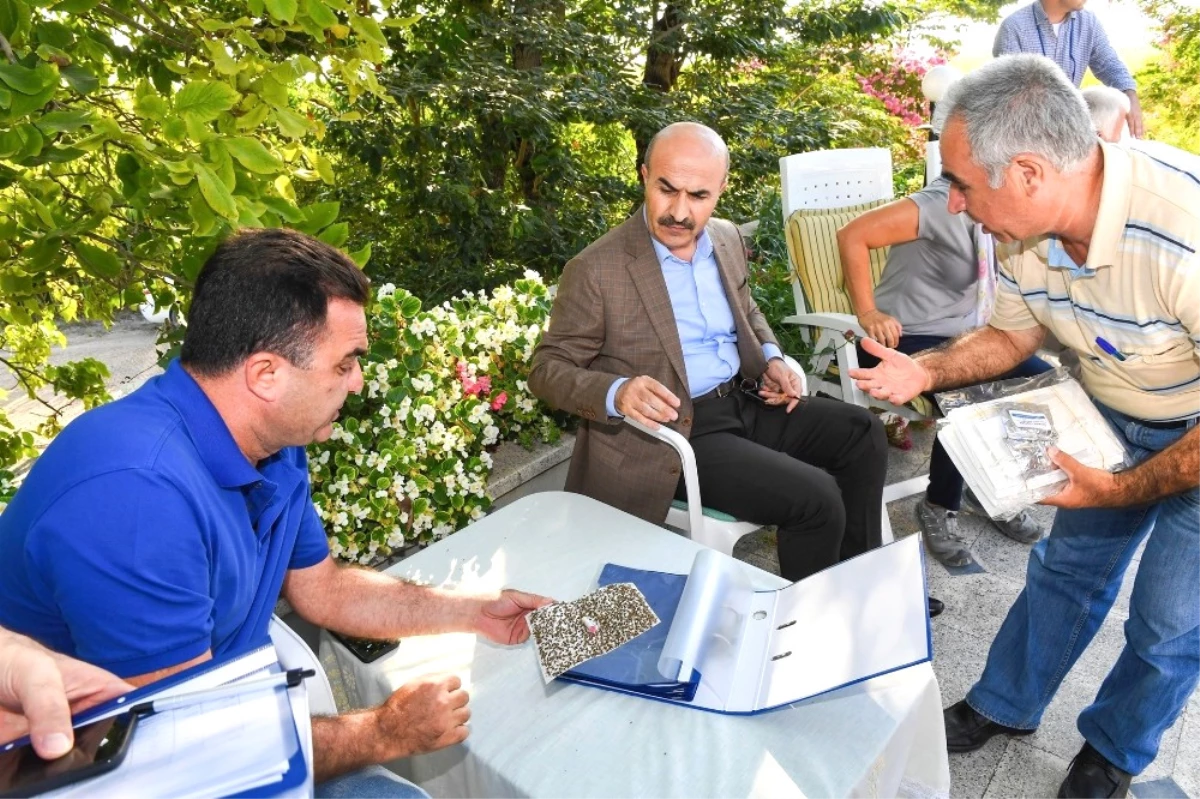 Vali Demirtaş: "Akdeniz Meyve Sineği Sorununu Köklü Şekilde Çözeriz"