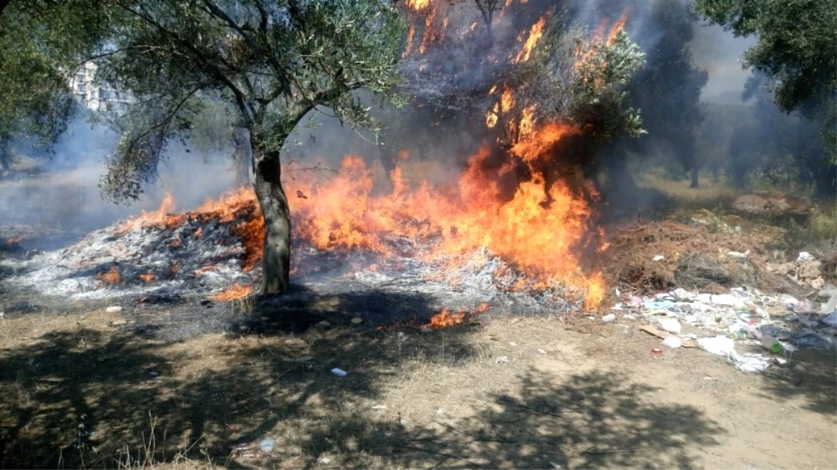 Zeytinlik Yangını Korkuttu