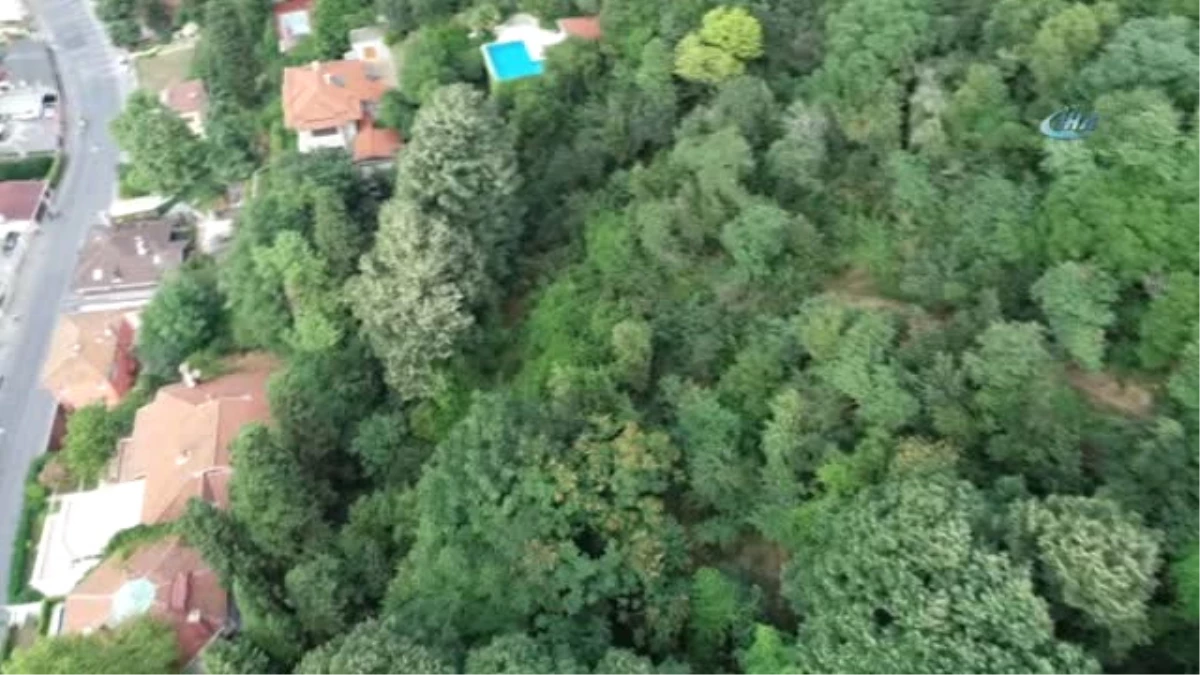 Adnan Oktar\'ın Villasından Kaçarken Kullandığı Patika Yol İlk Kez Bu Kadar Net Görüntülendi