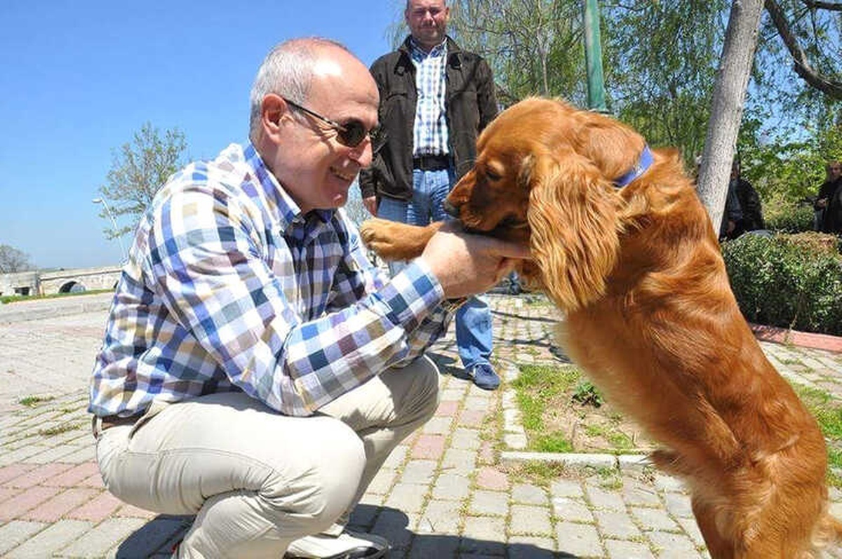 Başkan Akgün: "Hiçbir Sokak Hayvanı Aç ve Susuz Kalmayacak"