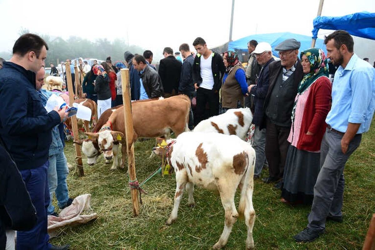 Başkan, Hemşehrilerini Şenliğe Davet Etti
