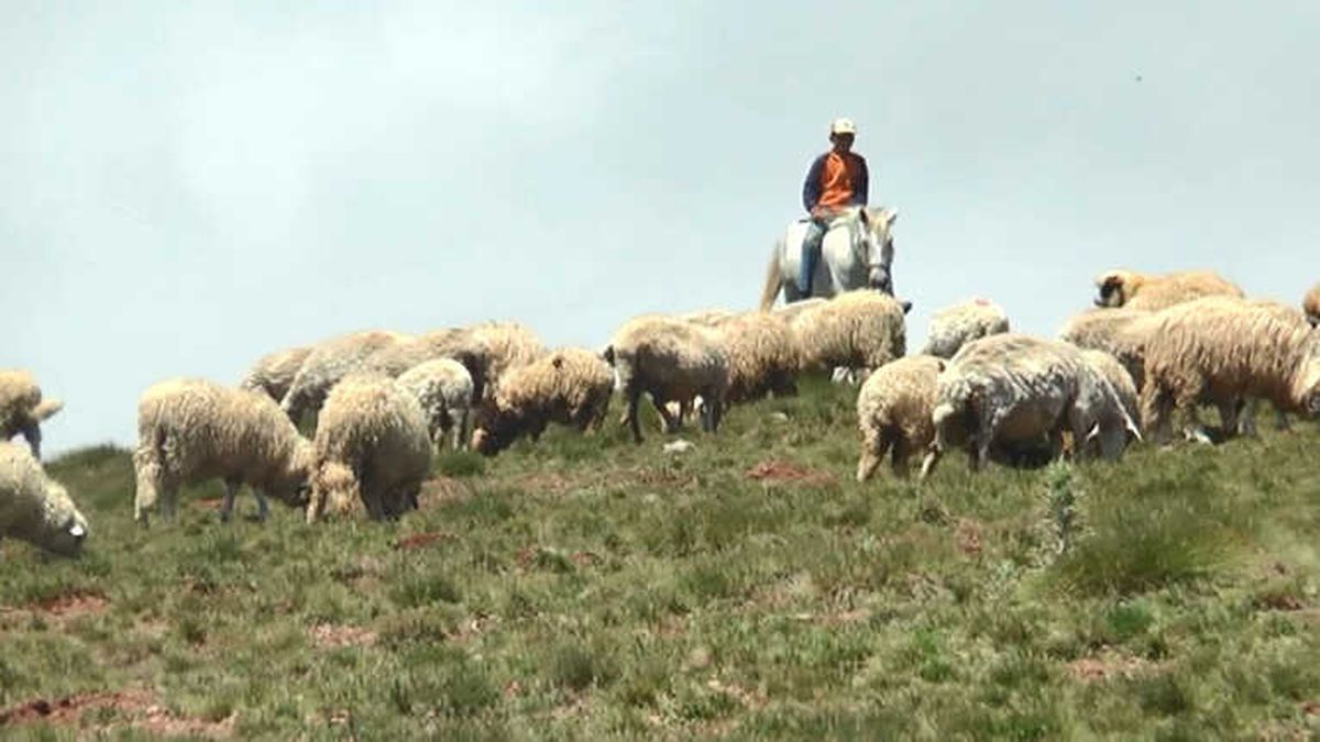 Çobanın Umudu \'Kurban Bayramı\'