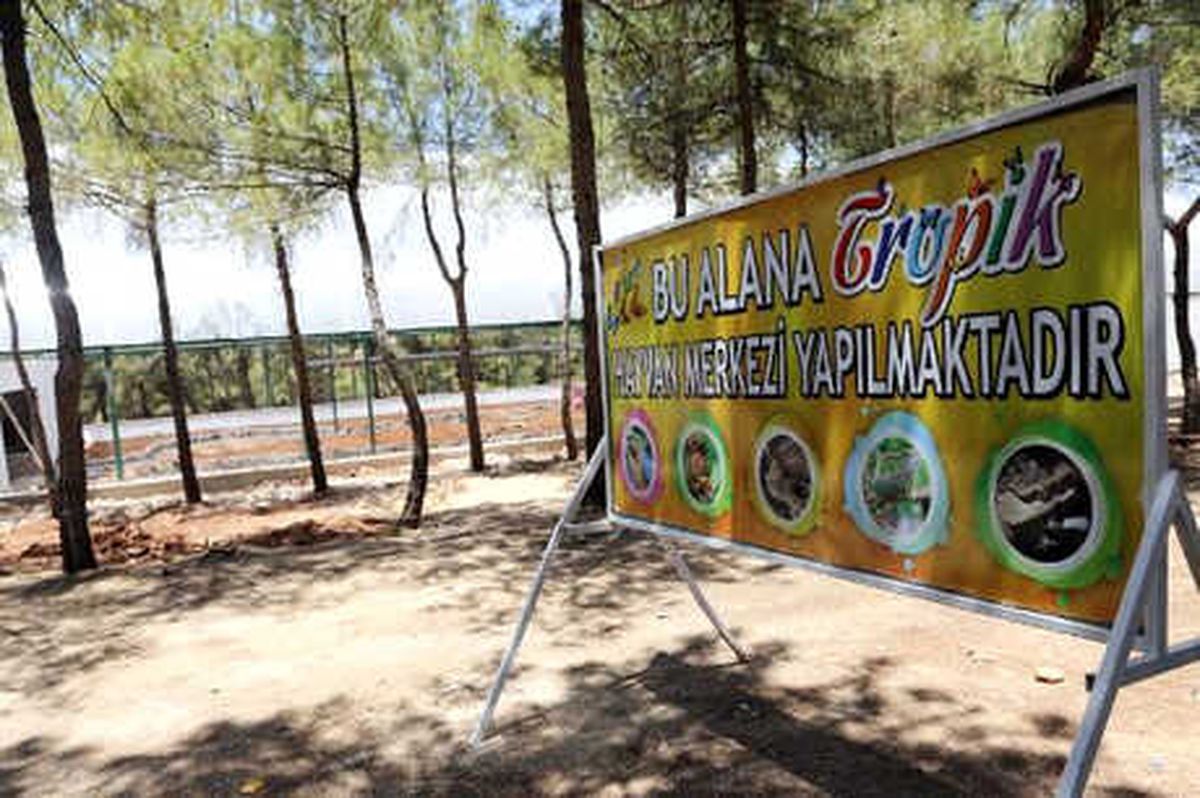 Filipinler\'den, Gaziantep\'e 20 Bin Kelebek Getirilecek