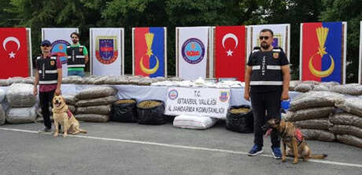 Jandarmadan Büyük Operasyon