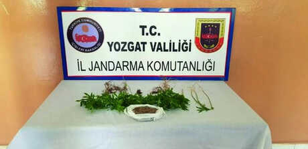 Mevsimlik İşçiye Uyuşturucudan Gözaltı