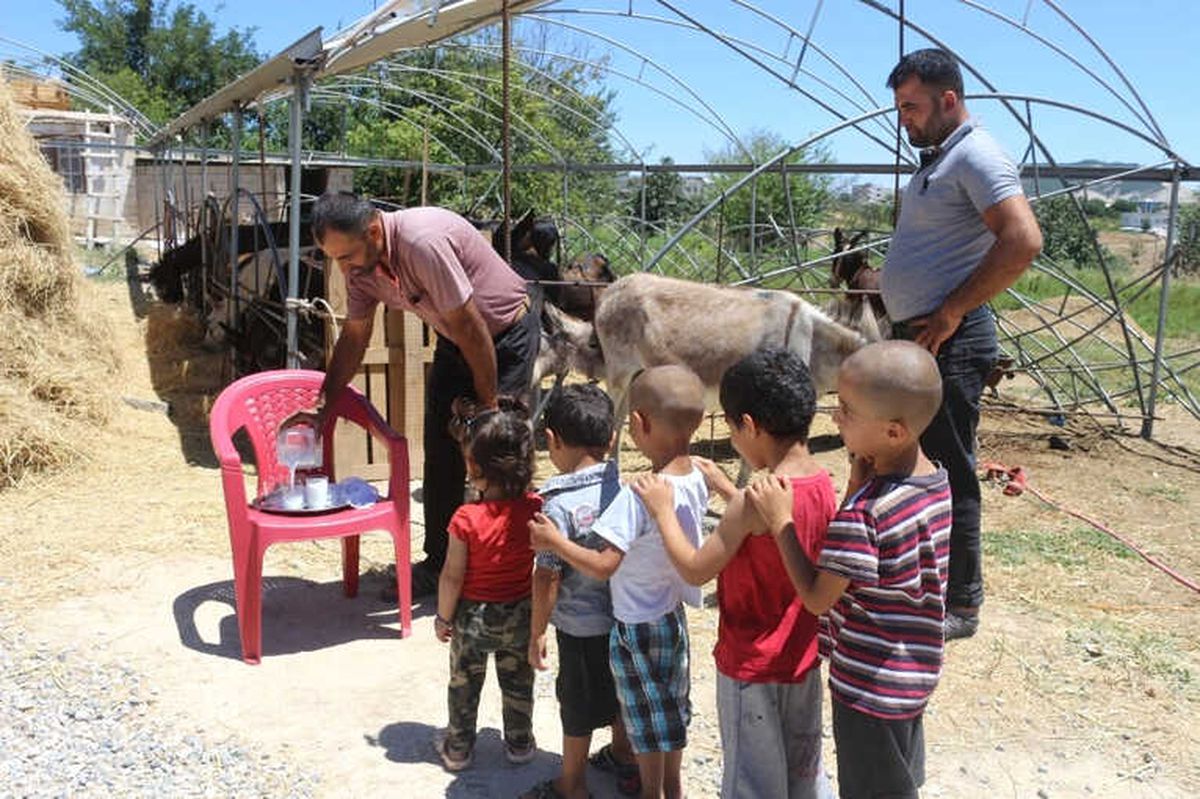 Eşek Sütü Hem Şifa Hem de Kazanç Sağladı
