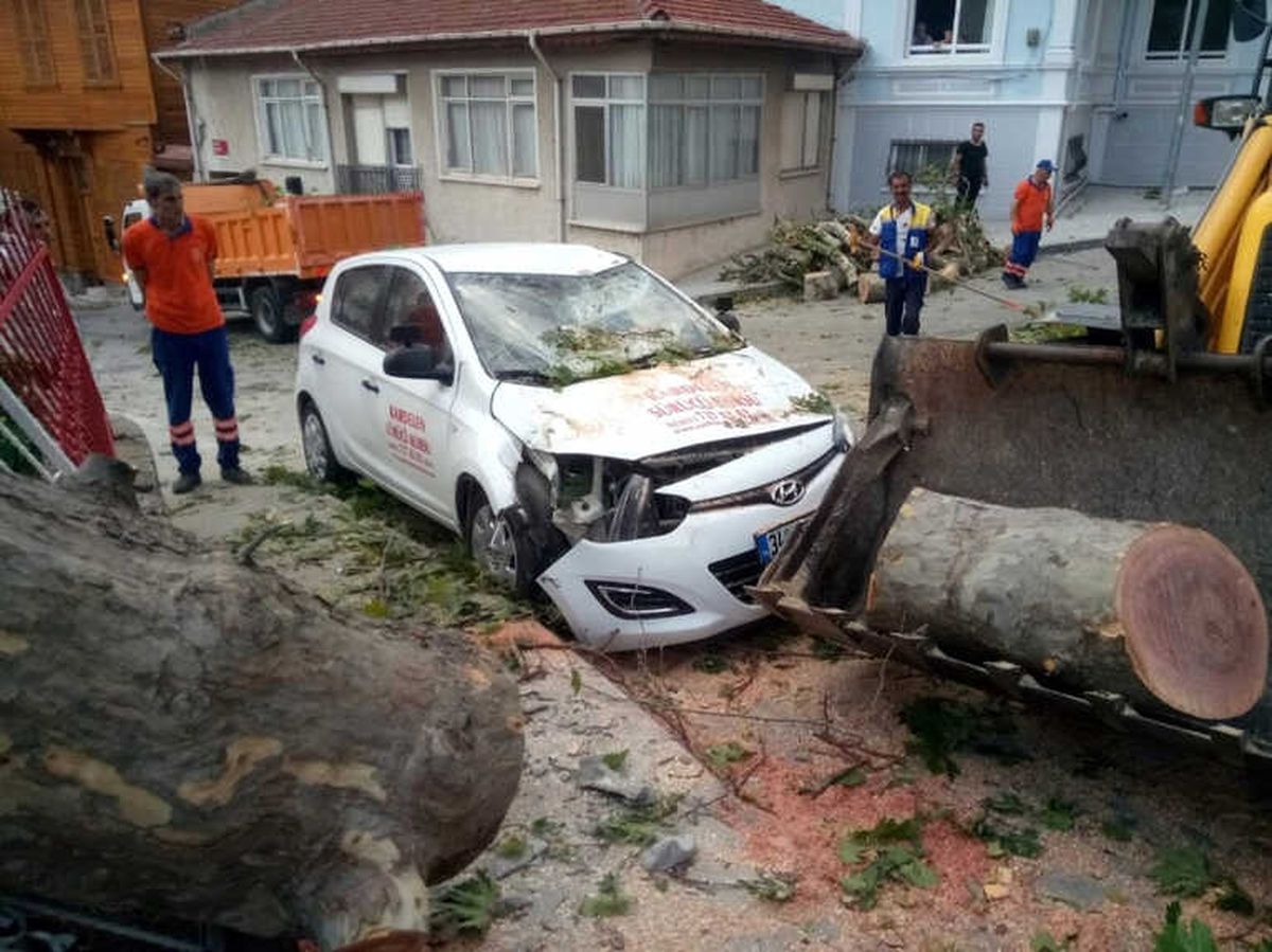 Şiddetli Rüzgar, 400 Yıllık Anıt Çınar Ağacını Aracın Üstüne Devirdi