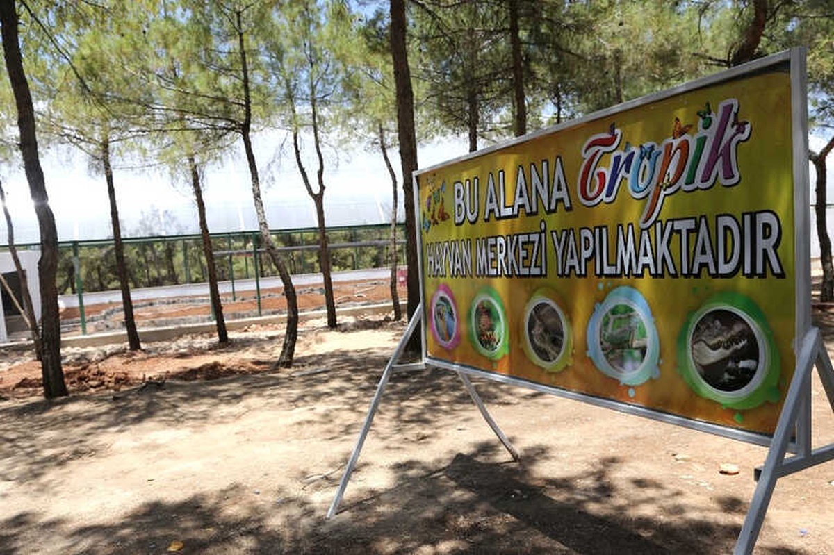 Rengarenk Kelebekler Gaziantep\'te Uçacak