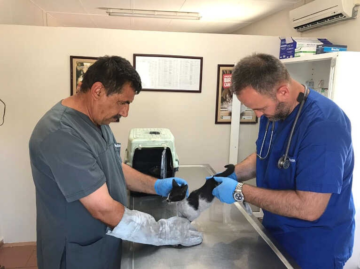 Bursaray İstasyonuna Sıkışan Kedi Kurtarıldı