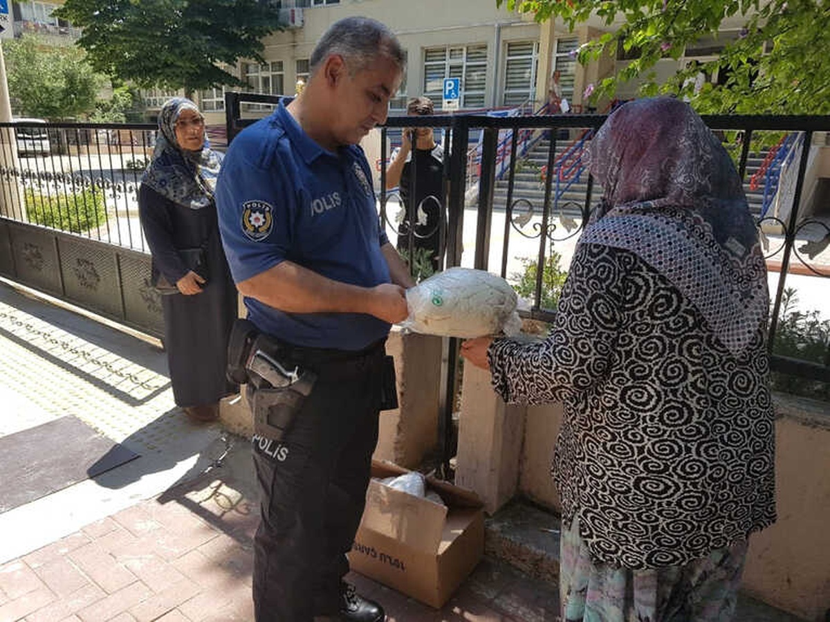 Çarşaf Siparişi Verdi, Kefen Geldi