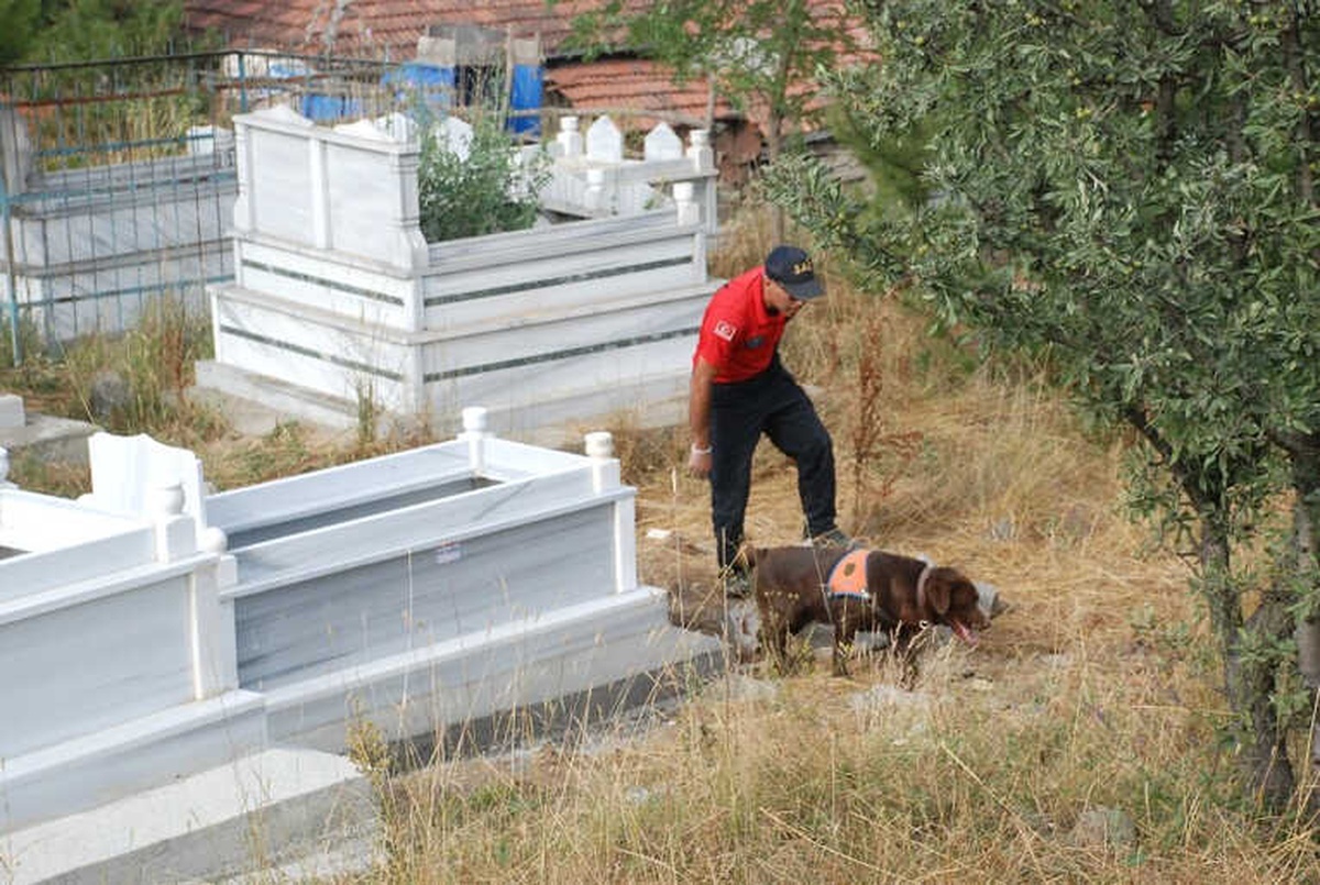 Evrim\'i, Kadavra Köpeği Mavi Mezarlıkta Aradı