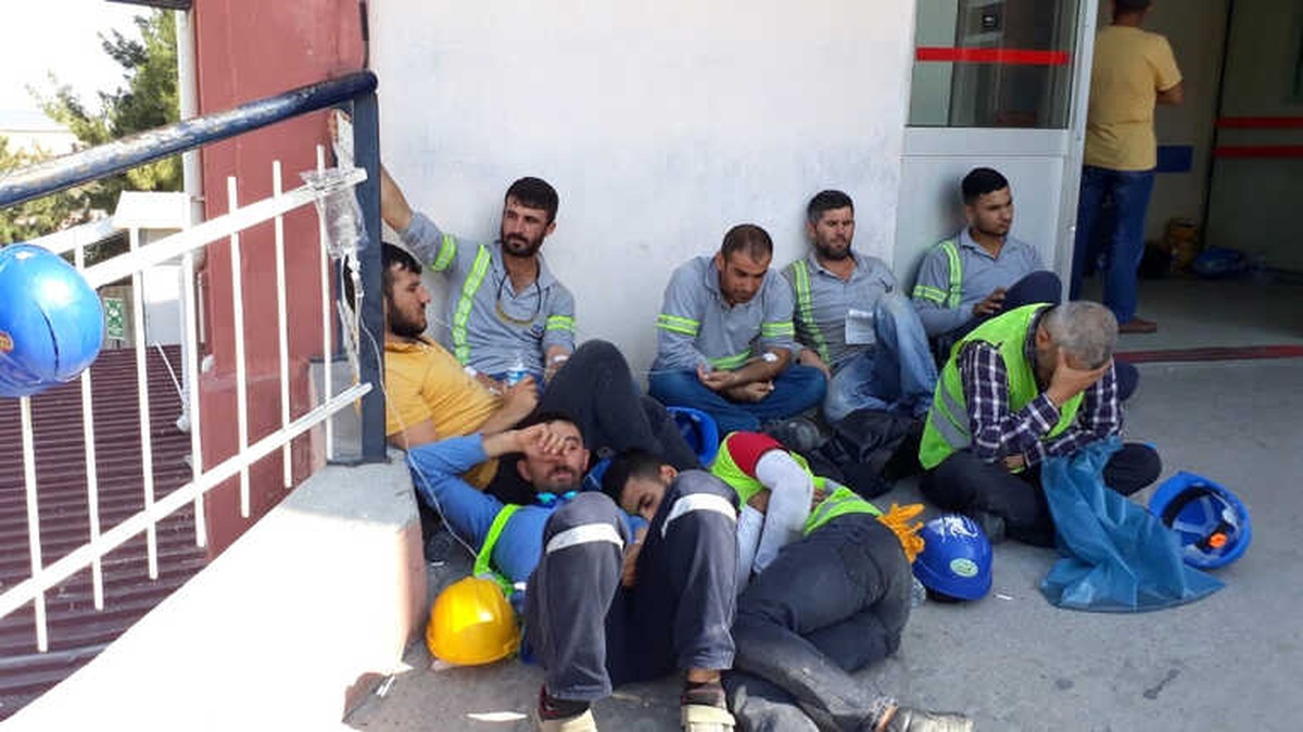 Hastanelere Başvuranların Sayısı: 1284 Kişi