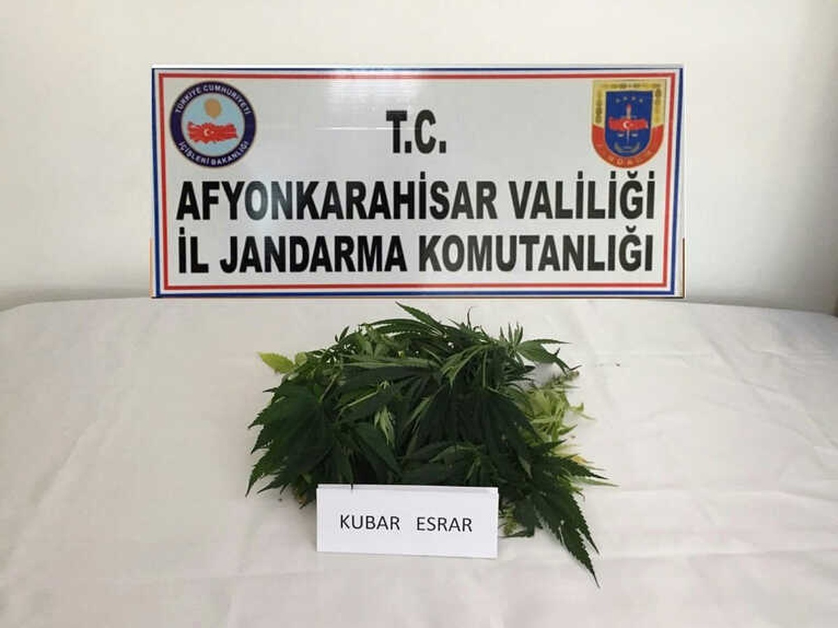 Jandarma Ekiplerinden Uyuşturucu ve Tarihi Eser Operasyonu