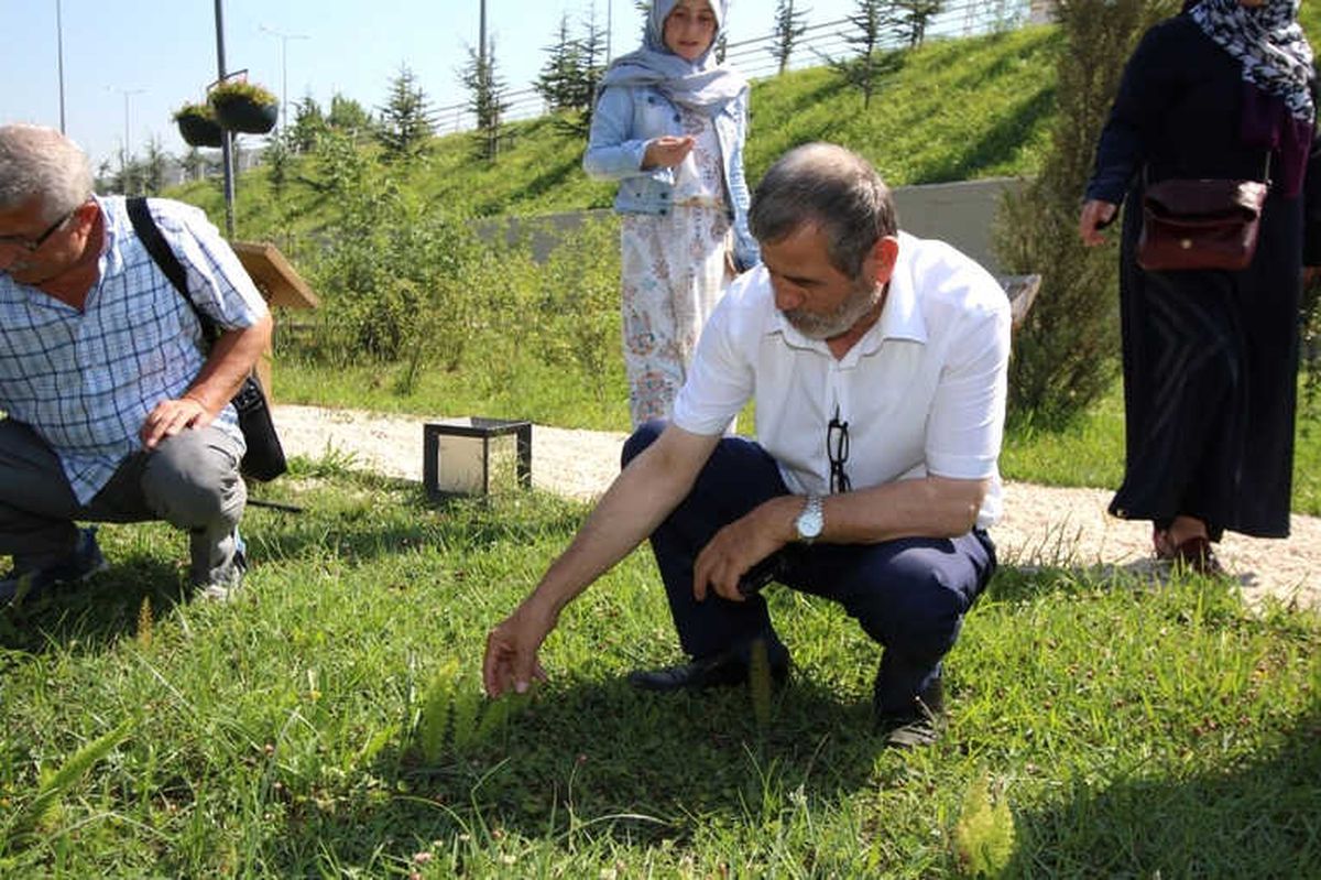 Ko-Mek\'ten İstihdama Yönelik Yeni Branş