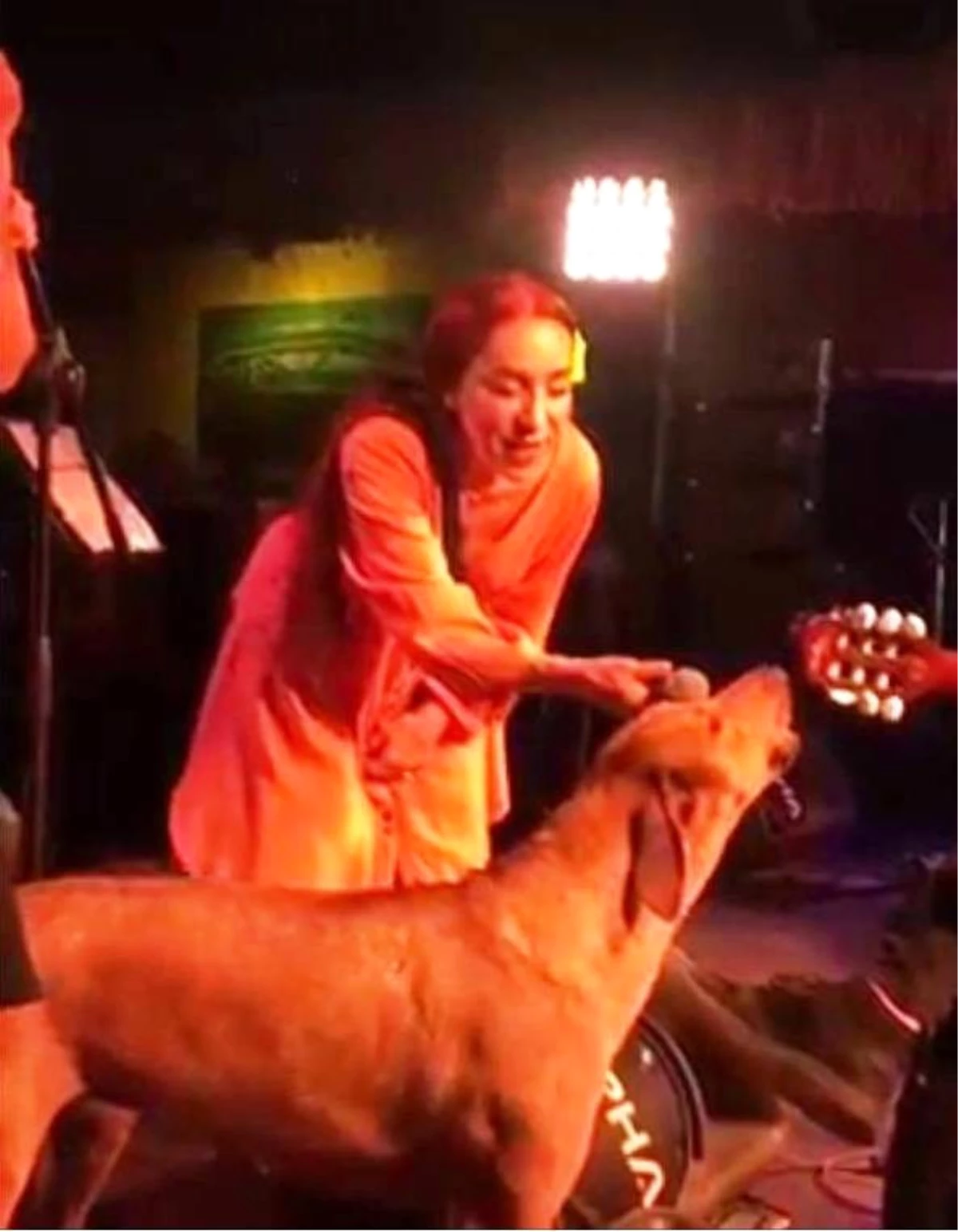 Leman Sam Şarkı Söylerken Sokak Köpeği Sahneye Fırladı