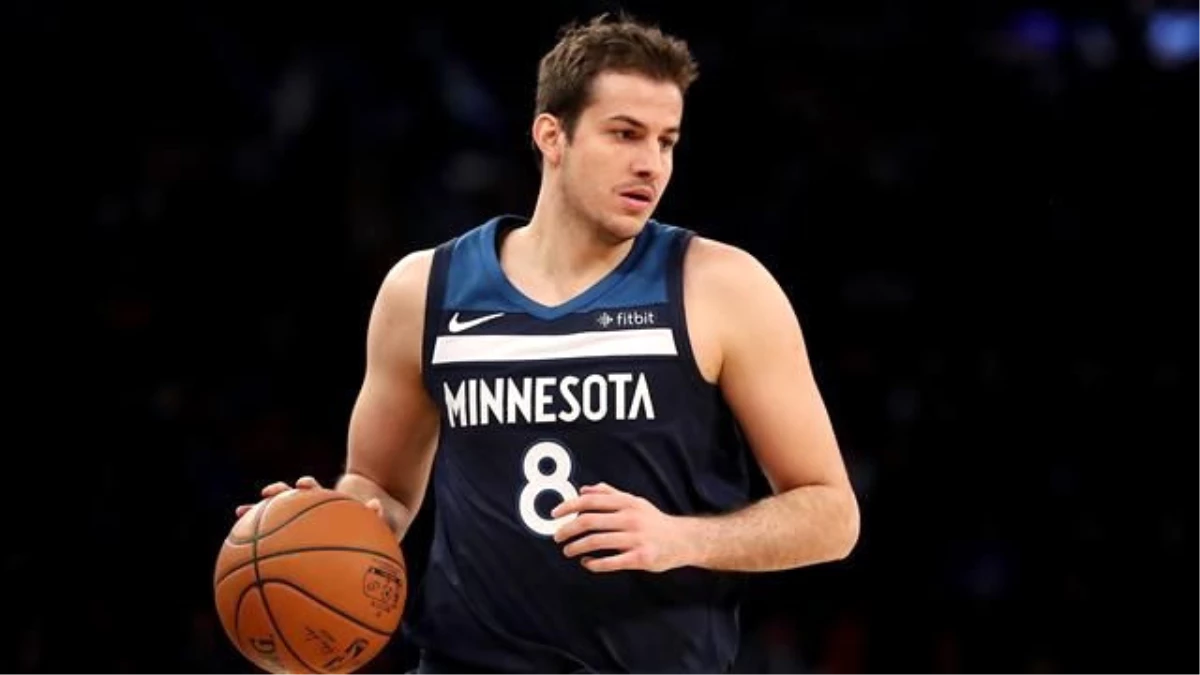 Nemanja Bjelica, Avrupa\'ya Dönüyor