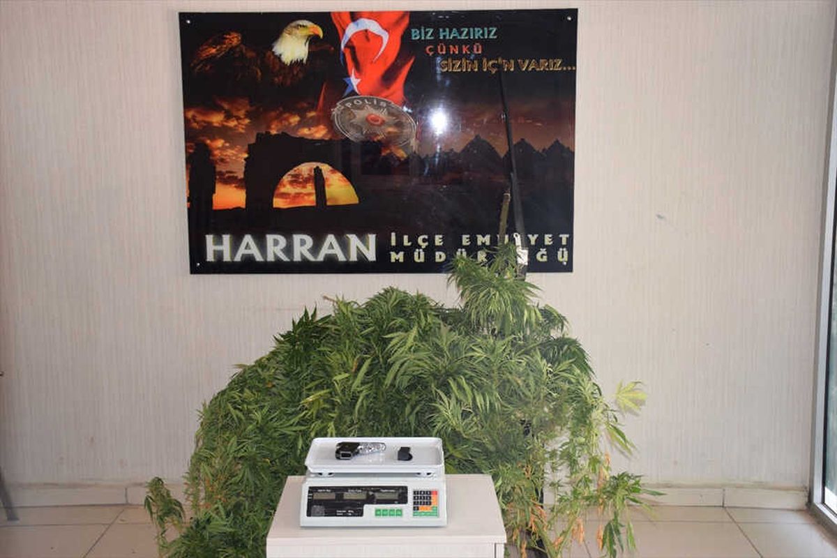Şanlıurfa\'da Uyuşturucu Operasyonu