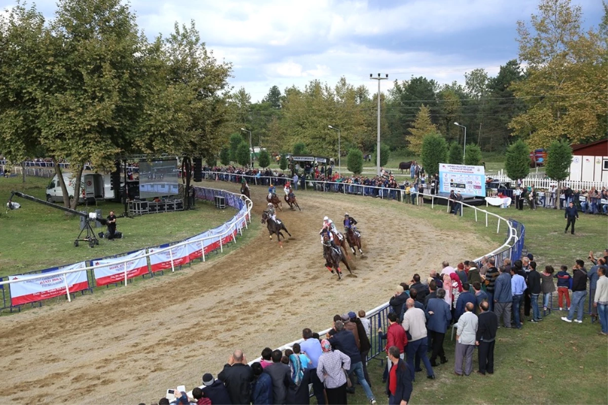 Sapanca\' da Mahalli At Yarışları 28 Temmuz\'da Gerçekleşecek