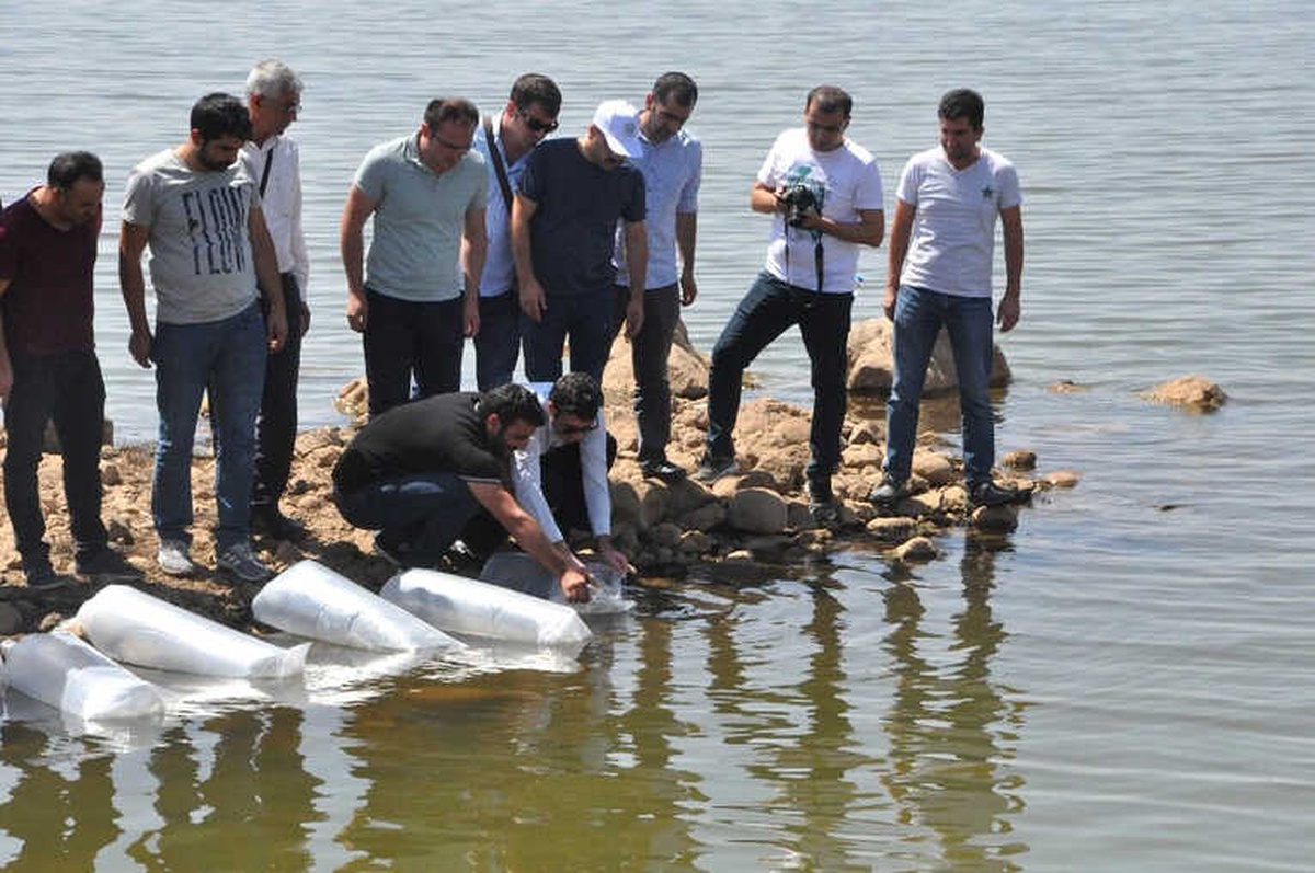 Terörün Yerini Huzura Bırakmasıyla Yaylalar ile Birlikte Nehir ve Göller de Şenlendi