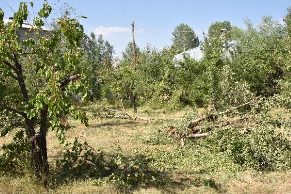 Van\'da Teröristlere Yardım ve Yataklığa 6 Tutuklama