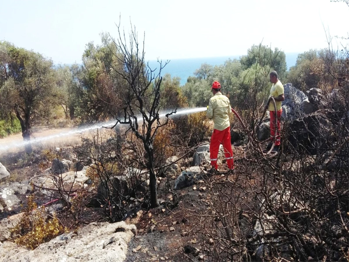 Antalya\'da Antik Kent Yakınında Çıkan Yangın Korkuttu