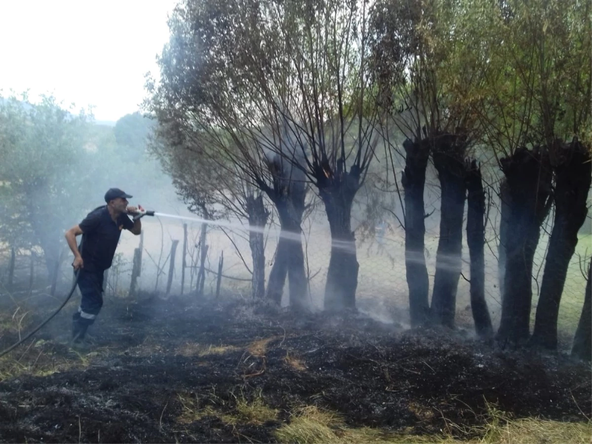 Bingöl\'de Anız Yangını Ağaçlara Sıçradı
