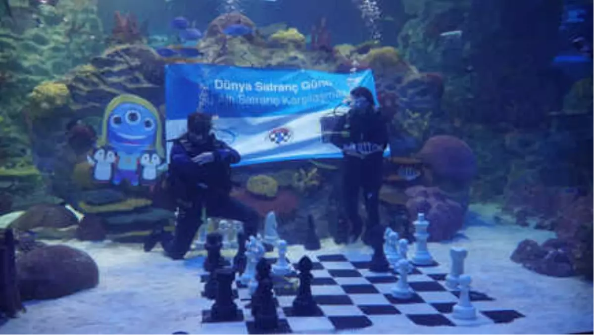 Dünya Satranç Günü