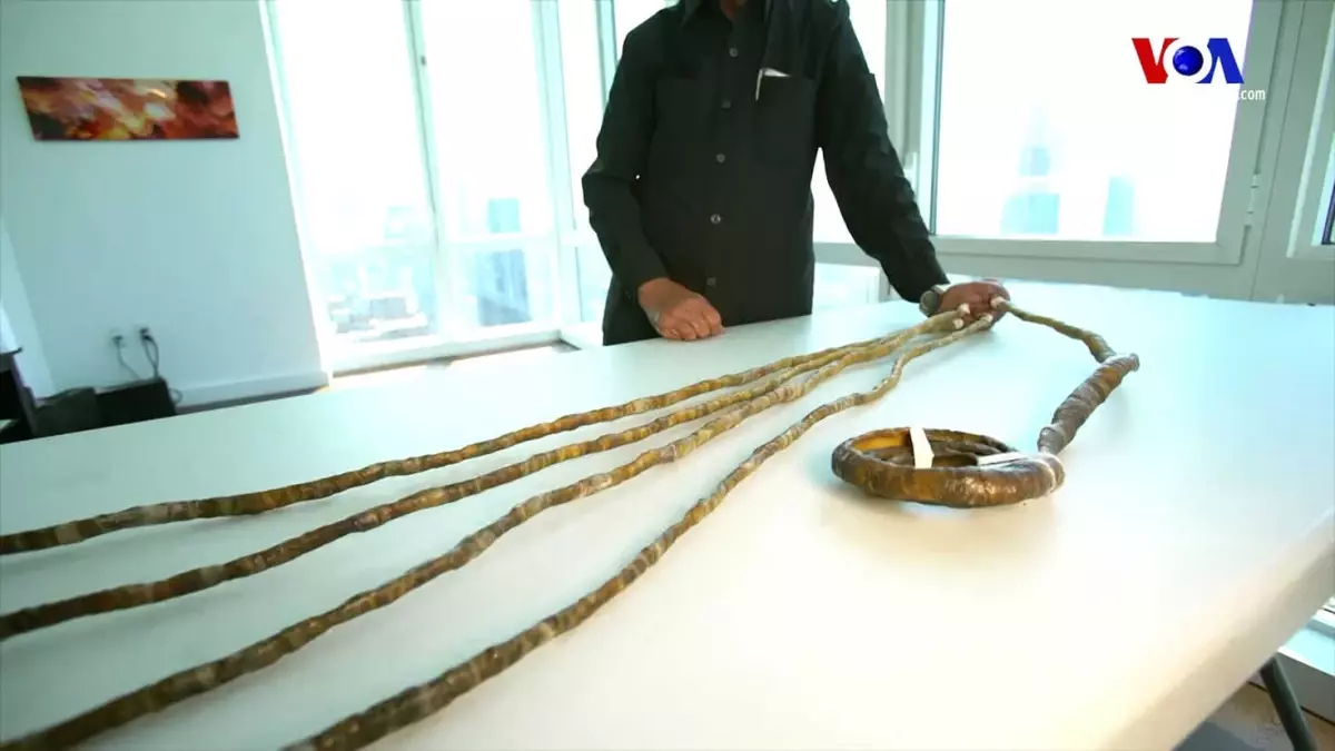 Dünyanın En Uzun Tırnaklı Adamı Tırnaklarını Kesti