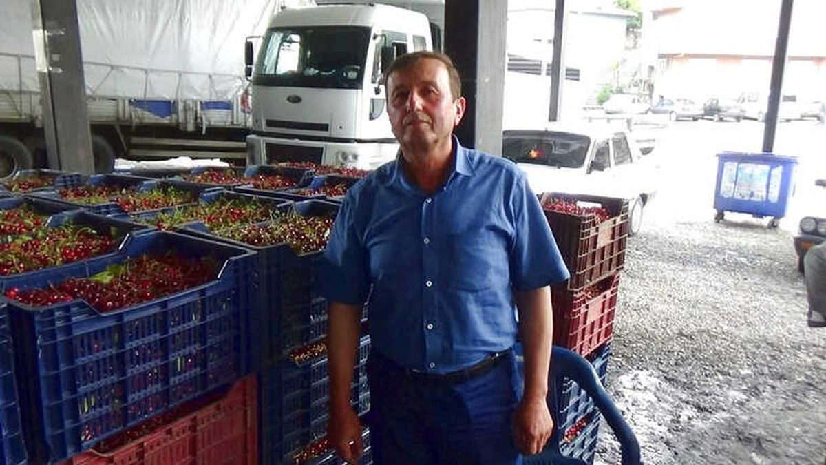 Kiraz ve Vişnede Hayal Kırıklığı