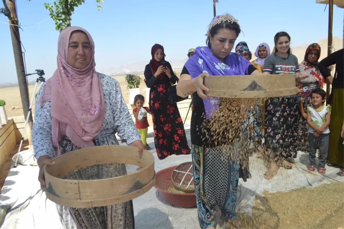 Kuraklığa \'Sorgül\' Çözüm Olacak