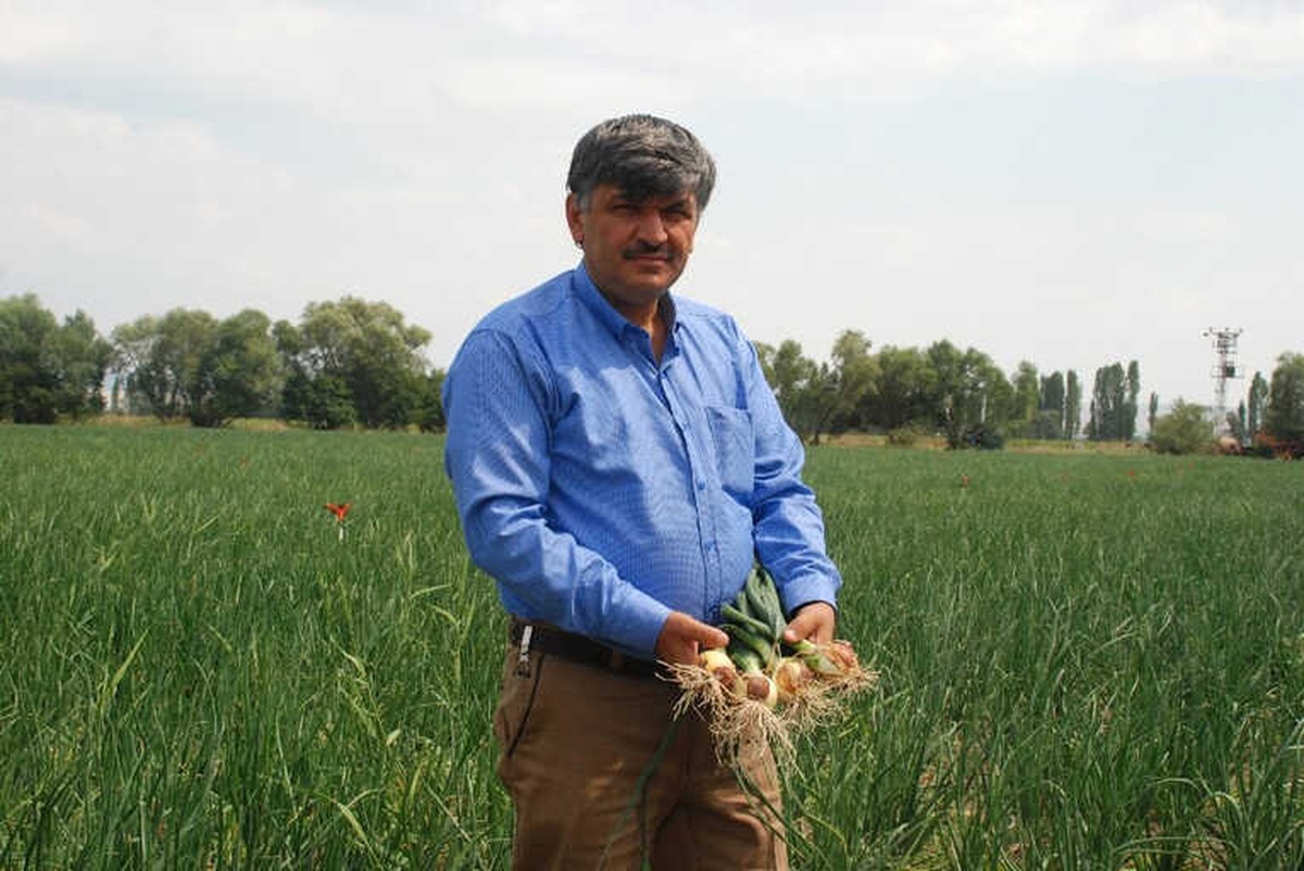 Soğan ve Patates Fiyatı Neden Yükseldi?