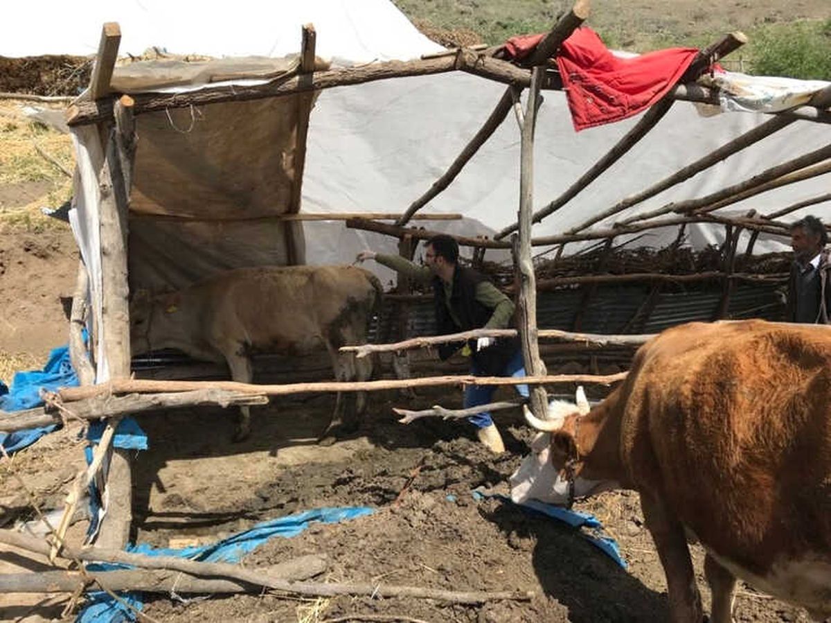 Toçbirsen Arguvan Temsilcisi Mehmet Saydan Açıklaması