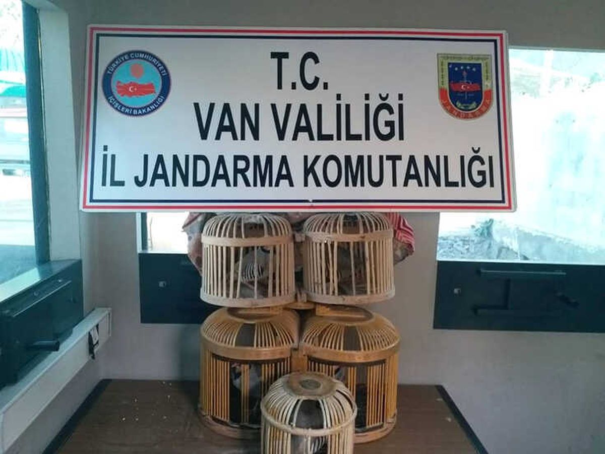 Van\'da Kafes Avcılığı Yapan 2 Kişiye Para Cezası Verildi