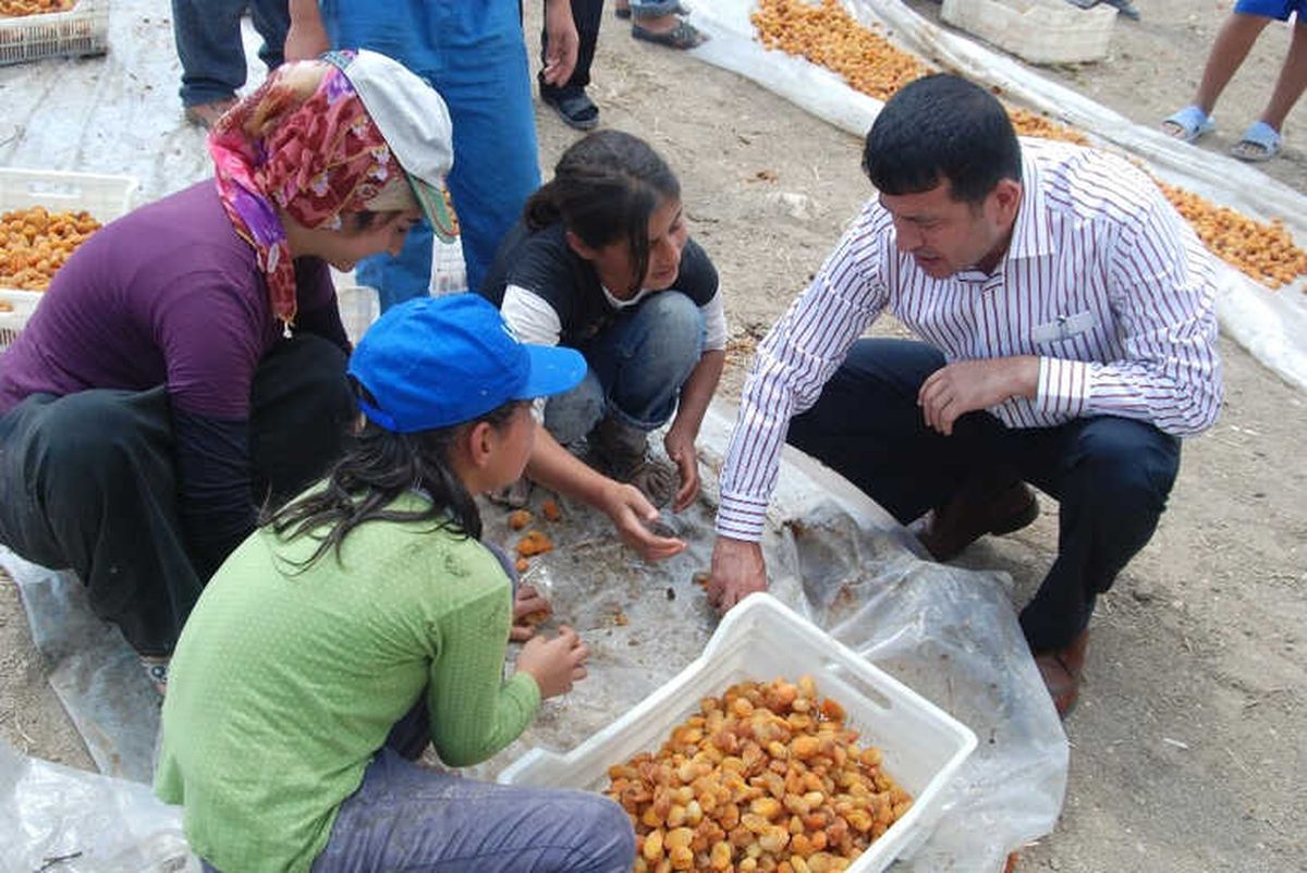 Ağbaba\'dan Mevsimlik Tarım İşçileri İçin Araştırma Önergesi