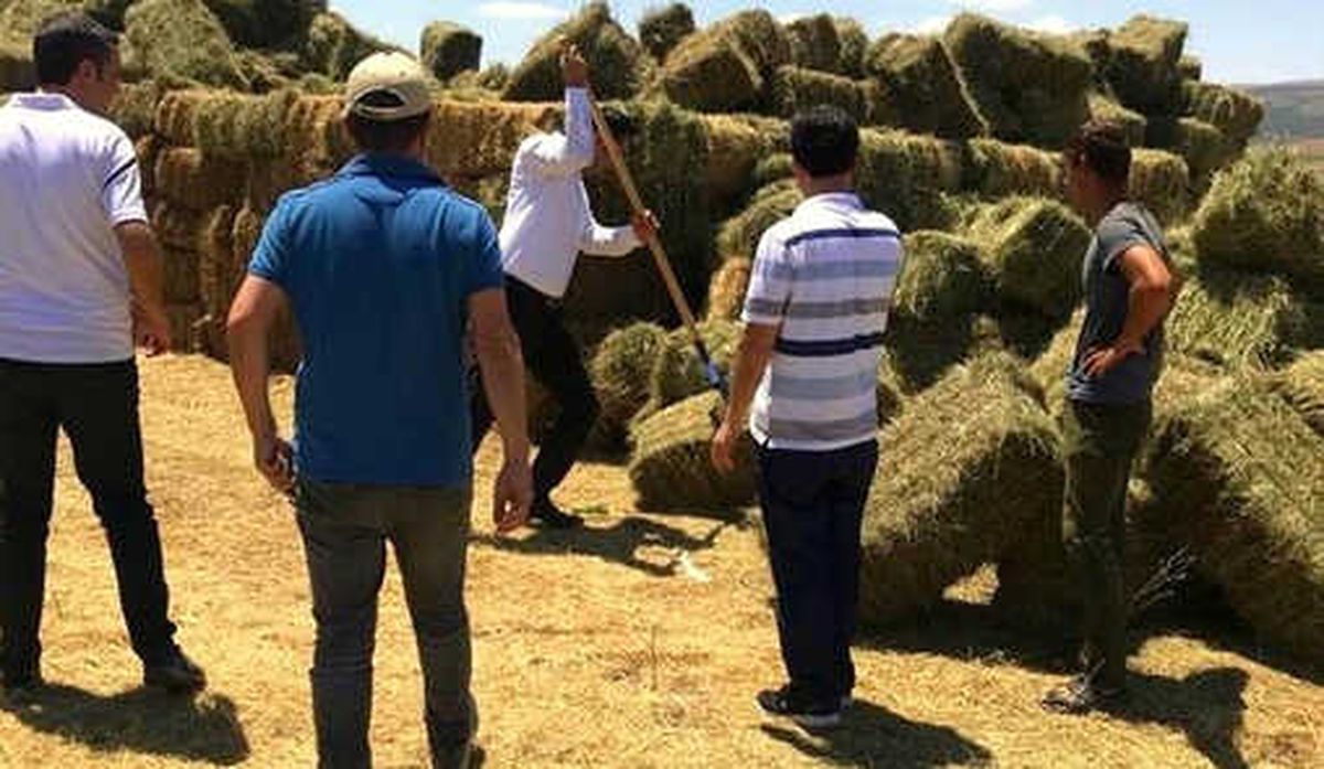 Bahadır, Yatırımı Tamamlanan Projeleri İnceledi