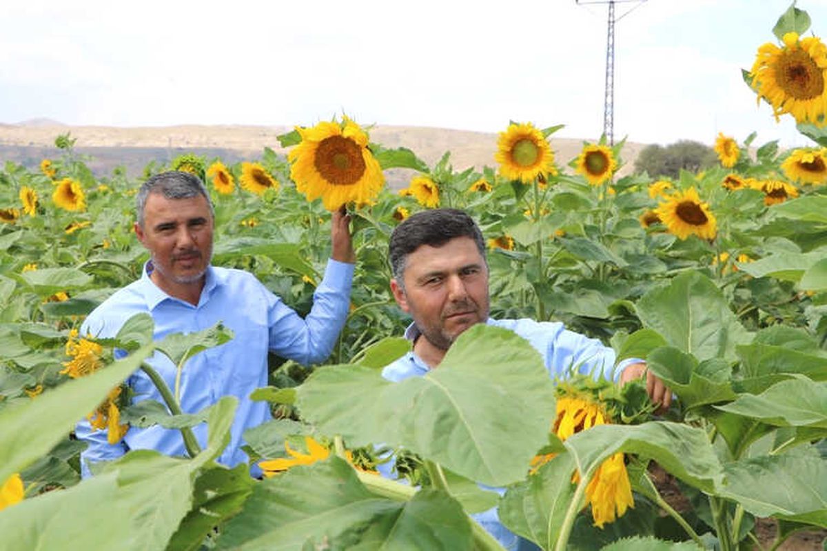 Çin Türkiye\'yi Çekirdek ile Vurdu