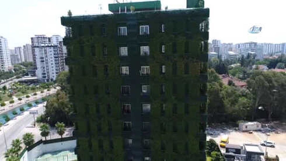 Dört Bir Yanı Sarmaşıklarla Kaplı Türkiye\'nin Tek Yeşil Apartmanı Adana\'da