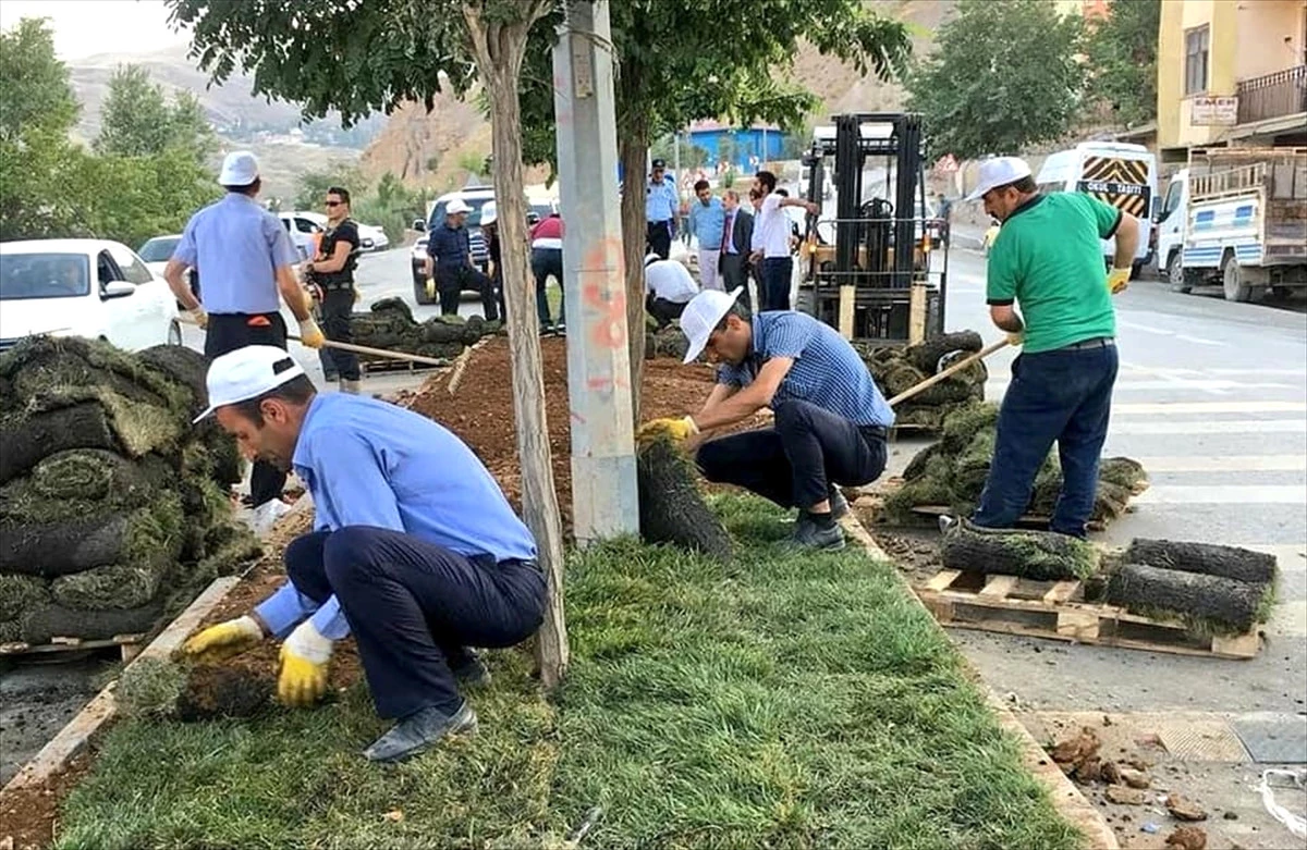 Hakkari\'de Refüjlerde Çimlendirme Çalışması