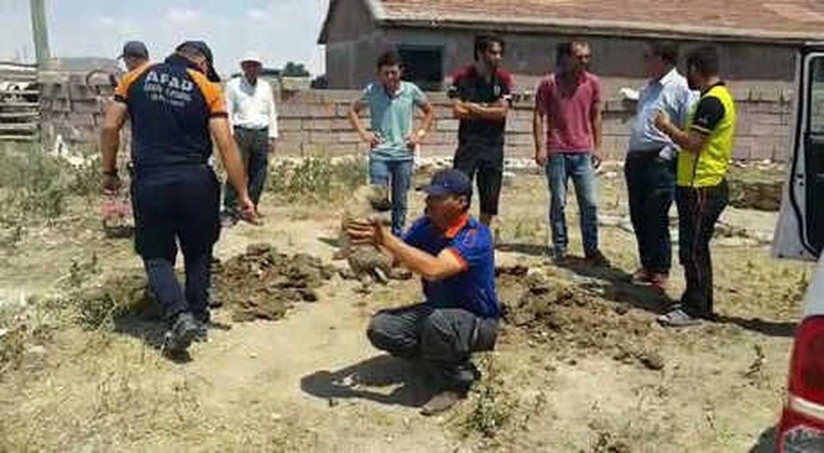 Kuyuya Düşen Yavru Köpeği, Afad Kurtardı
