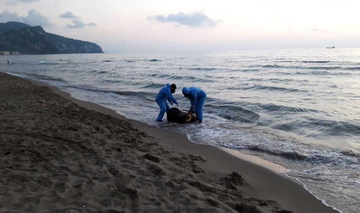Sahile Vuran Varil Ekipleri Alarma Geçirdi