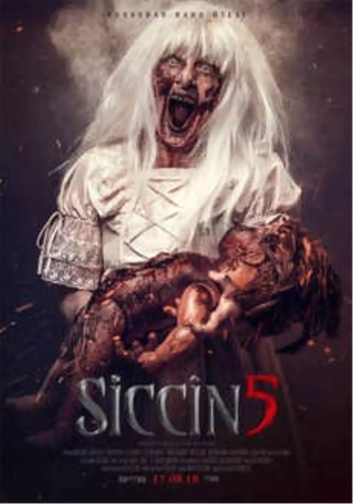 Siccin 5 Filmi